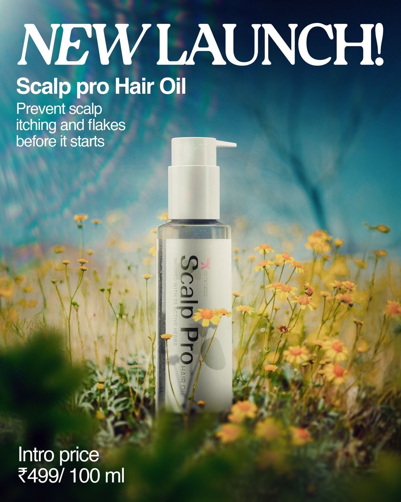 Scalp pro hair oil